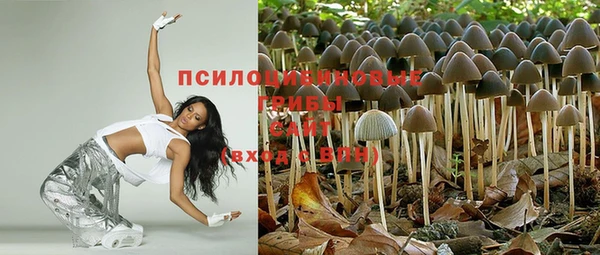 бошки Алзамай