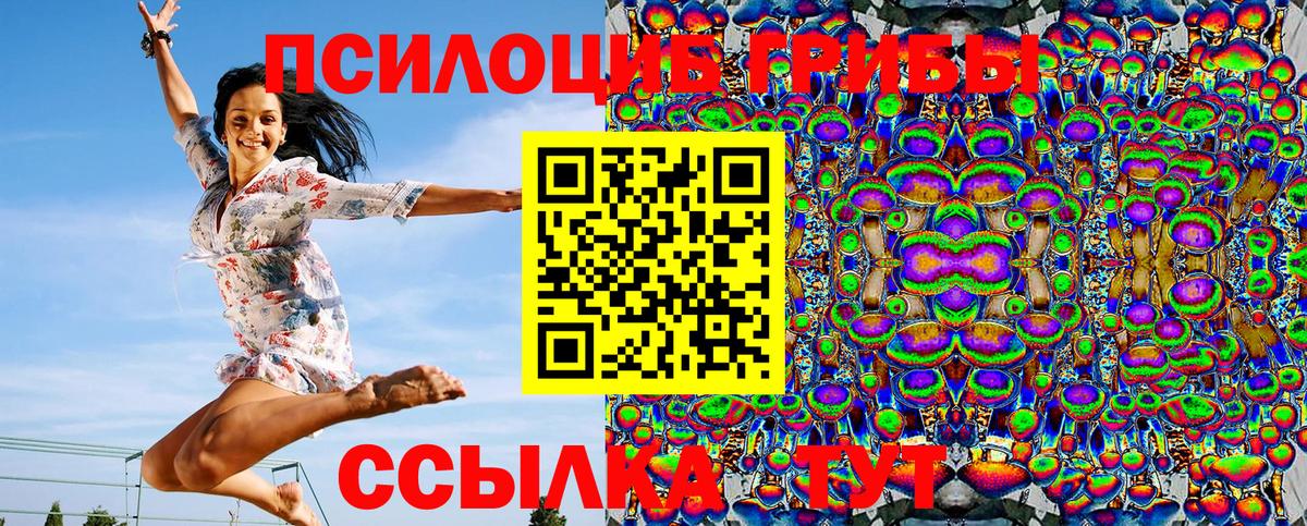 Псилоцибиновые грибы Cubensis  Вход с VPN  Псилоцибиновые грибы MAGIC MUSHROOMS  Морозовск 
