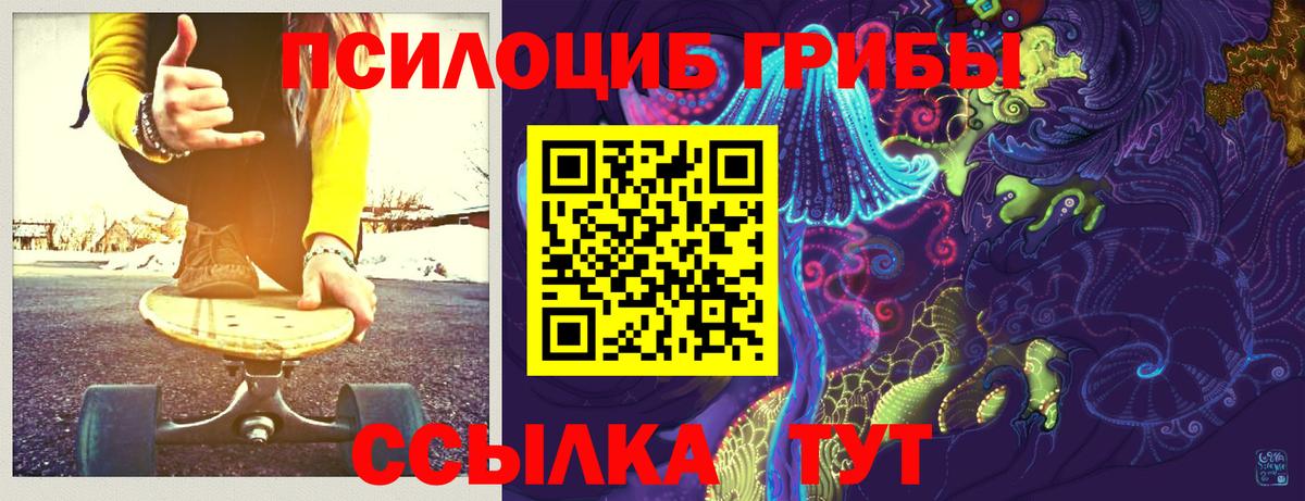 Псилоцибиновые грибы GOLDEN TEACHER Морозовск
